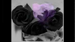 Stillste Stund - Der Untergang