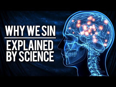 The Neuroscience Of The 7 Deadly Sins | Dr Jack Lewis | Modern Wisdom Podcast 182