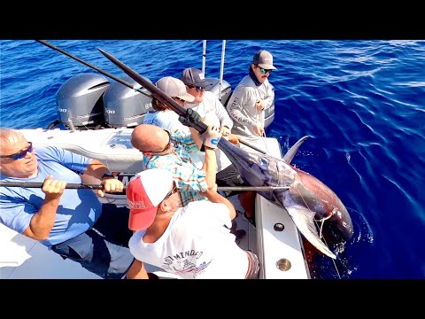 7 trips over 7 years for this fish! *MONGO SWORDFISH* Catch Clean and Cook