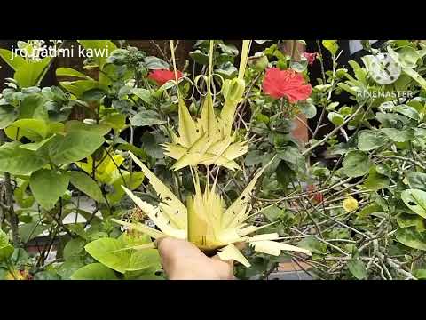 Tutorial/Cara Membuat Penyeneng/Teenan yang simpel dan hemat janur #tutorial