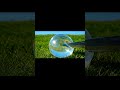 The Sound Of Water Balloons Cutting Will Relax You Asmr Satisfying Aiart Watersounds