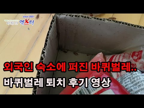 아이콘