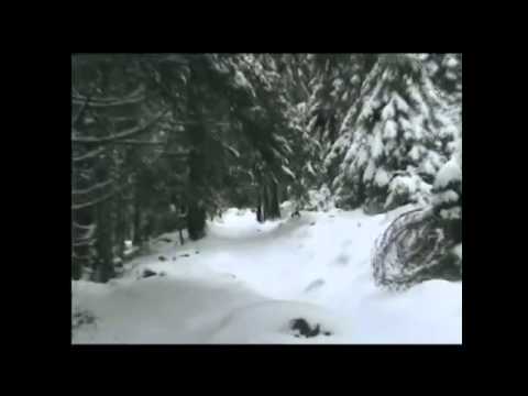 Cazare Mangalia Particulari - Cazat.ro