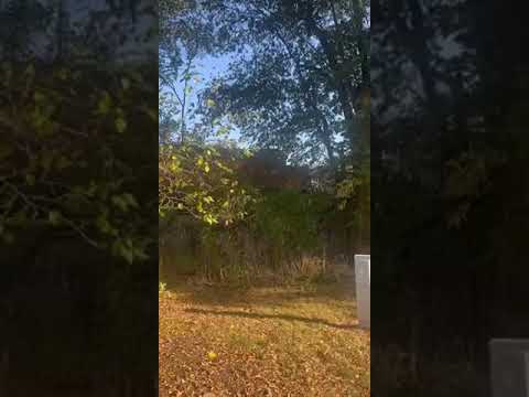 Video of the train coming by behind the site with horn