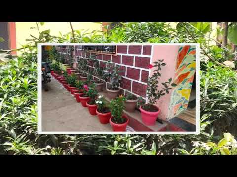 My sweet garden