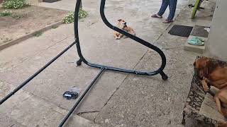 Swing Assembly Sorento