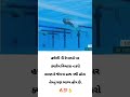 Aap Mehnat Karo Viral Shorts Motivation Trending Status Motivational Viralshorts