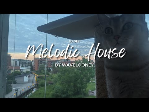 Melodic Deep House Set by Wavelooney  (Weekly Tunes #12)