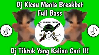 Download lagu DJ KICAU KICAU MANIA X CAROUSEL REMIX | GASS POLL NDANGAK NDANGAK MANOK KU SIAP NEMBAK VIRAL 2026 mp3 Download lagu DJ KICAU KICAU MANIA X CAROUSEL REMIX | GASS POLL NDANGAK NDANGAK MANOK KU SIAP NEMBAK VIRAL 2026 mp3