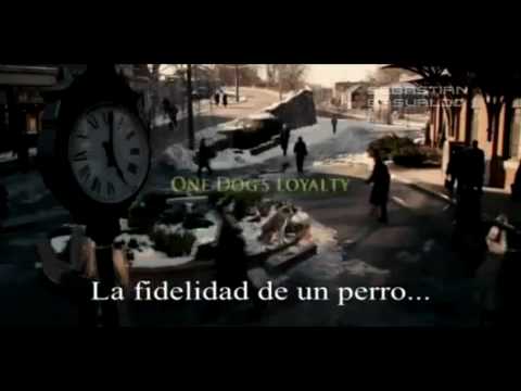 BTRpaolaBTR’s Video 116366557802 YWFP_joHHTo