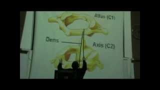Dr Sherif Glal : Deep lymph nodes-joints of Atlas&Axis
