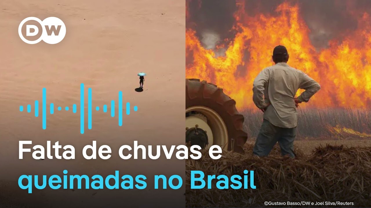 Quais impactos são esperados da maior seca desde 1950? | Podcast