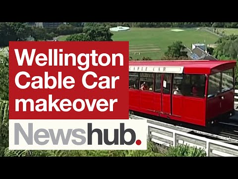 Teleférico de Wellington passa por reforma depois que mais de 100 pássaros nativos morrem voando contra o vidro | Newshub