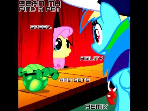 Sean NH - Find A Pet (Speed, Agility and Guts Remix)