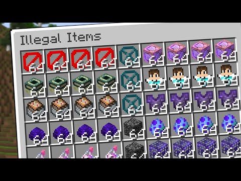 I obtained The Most Illegal Item In Survival Minecraft...