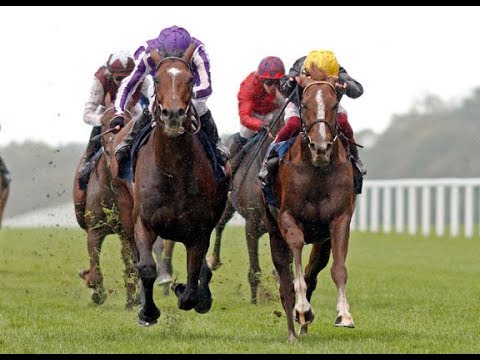 British Champions Long Distance Cup (G2)  2019