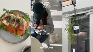 韓国でキムチを漬ける休日・牡蠣カクテキの作り方/カフェとお家で過ごす韓国の冬/最近の私の必須アイテムのザクロとチャイラテ