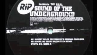 Robert Miles - Freedom (RIP's Original Flava Dub)