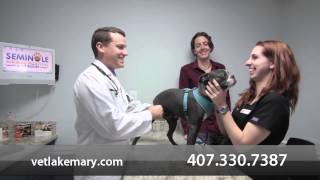 preview picture of video 'Seminole Animal Hospital & Pet - Short | Sanford, FL'
