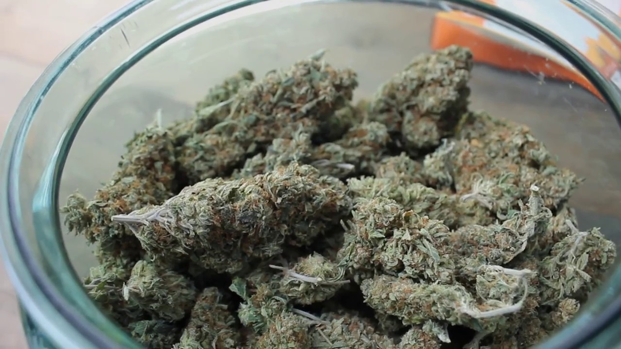 Medical Marijuana HD Promo Video
