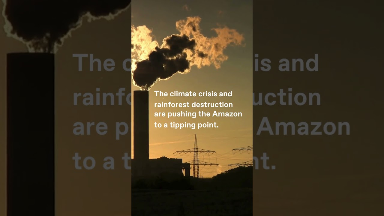 The future of the Amazon rainforest 🌳