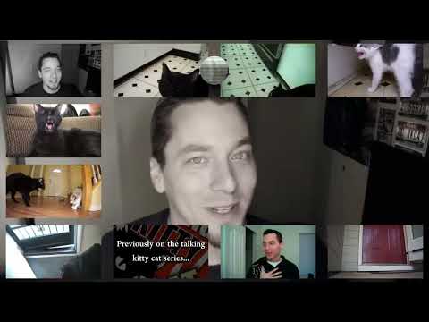 Talking Kitty Cat - Sparta Pneumatics CWE V2 Remix