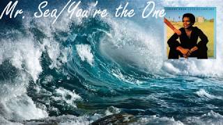 Johnny Nash - Mr. Sea/You're the One