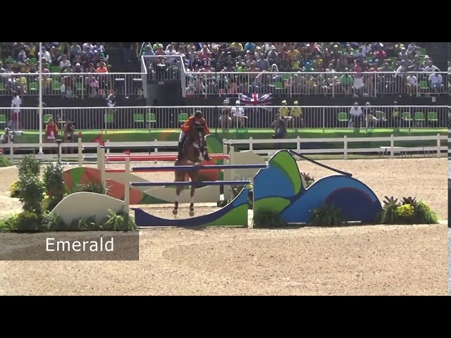 Embryo Heartbreaker x Diamant de Semilly