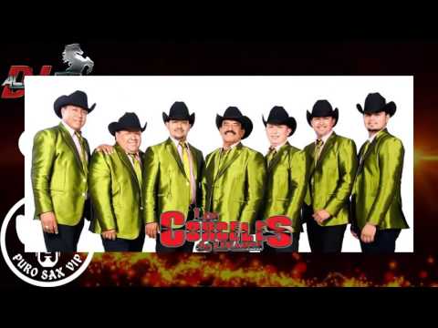 Los Corceles de Linares - La Chica 240 ♪ 2016