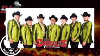 Los Corceles de Linares - La Chica 240 ♪ 2016