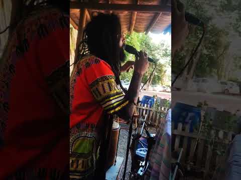 Momento de homenagem 🌿🎶 #reggaemusic #reggaebrasil #music #musica #reels #reggaemusic roots