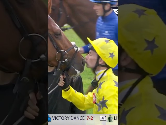 Thumbnail for Post ID: YWInnURb_Ek