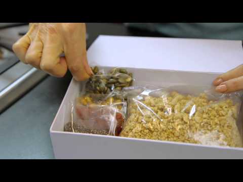 download lagu mp3 mp4 Granola Box, download lagu Granola Box gratis, unduh video klip Granola Box