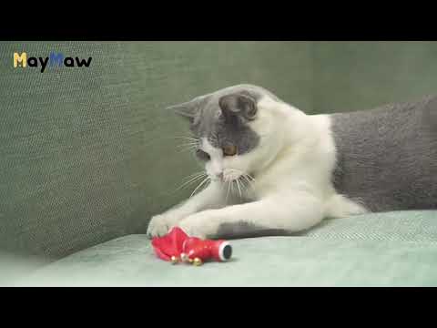 Интерактивная игрушка для котов MayMaw Kitifish Красная (1298)