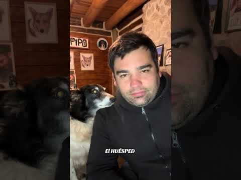 "THE GUEST" 🙂🐾❤️