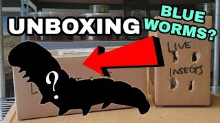SURPRISE FEEDER UNBOXING - BLUE WORMS?