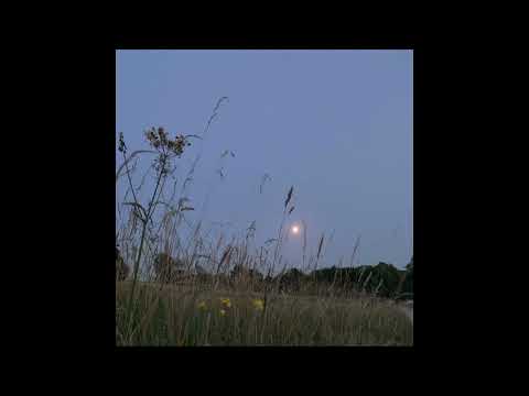 [sold] bon iver / indie folk type beat - "warm days"