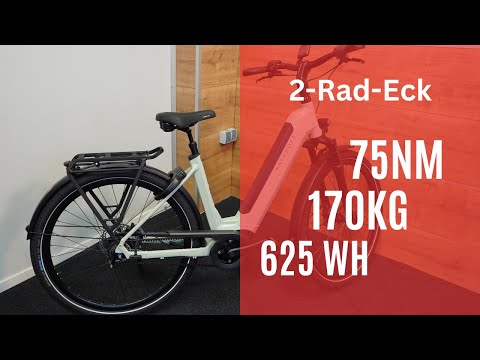 Das beste XXL E-Bike unter 5000 € ⁉️// KALKHOFF Image 5.B Advance