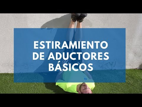 Estiramientos aductores básicos