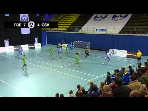 Samenvatting | FCE - GSV