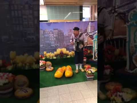 Hollandse draaiorgel