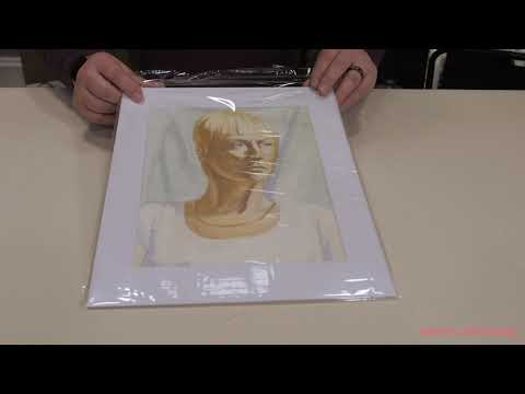 Viewpoint Pre-Cut Mat Packs of 25 include everything you need for cost-effective presentation!