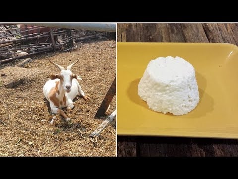 Come prezzemolo per togliere lentiggini Posti di pigmentary che stanno a donne della ragione di una fotografia