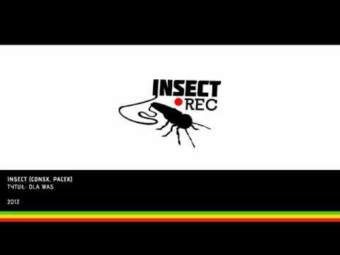 INSECT(con3x,Pacek)-Dla Was