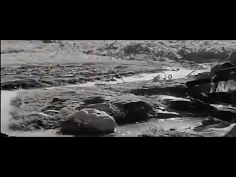 وهبت عمري للأمل ولاجاشي الشيخ إمام عيسى