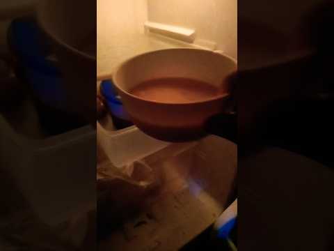 MALAM INI NGGAK ADA KERJAAN GYSS MAMA LAGI ISTIRAHAT #yearofyou #cenelkitasemua #shortvideo #shorts