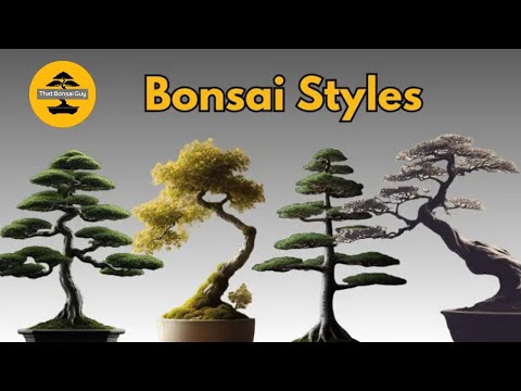 Exploring Different Bonsai Styles