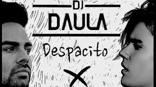 Na Ja x Despacito DJ Daula REMIX Pav Dharia  Justi