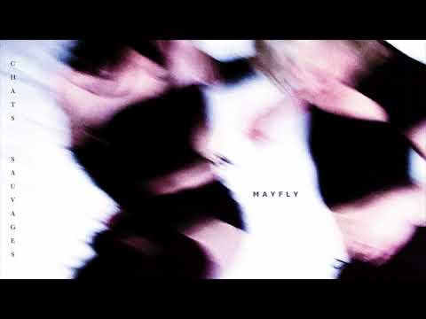 Mayfly - Chats sauvages (cover)