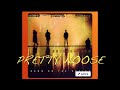 Pretty Noose - Soundgarden (lyrics)